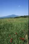 L'Amiata vista dalla Val D'Orcia (35kb)